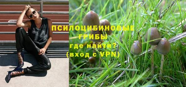 герыч Верея