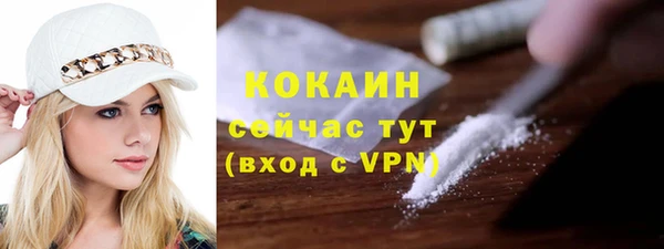 стафф Верхний Тагил