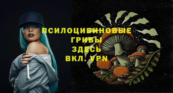 стафф Верхний Тагил