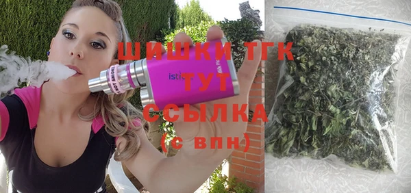 стафф Верхний Тагил