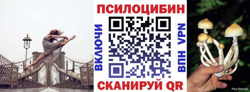 Псилоцибиновые грибы ЛСД  Вышний Волочёк 